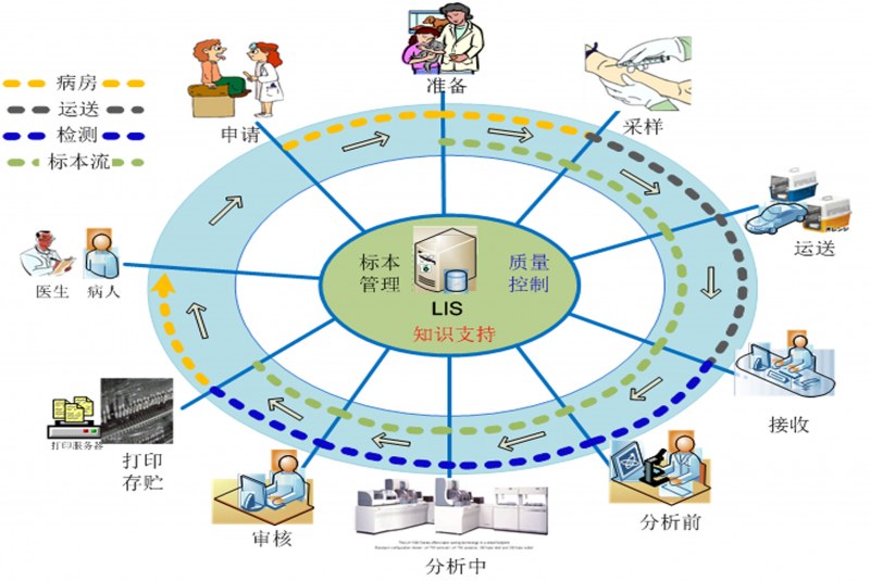 开云（中国）LIS系统